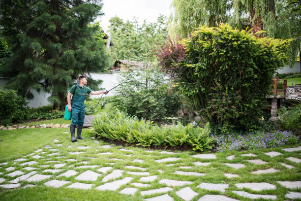 Best Residential Pest Control  in Lopezville, TX