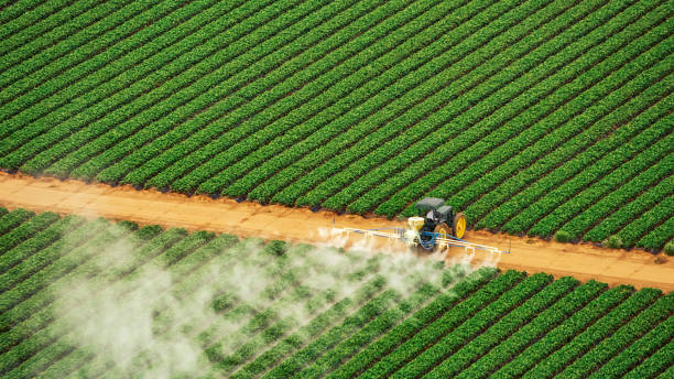Best Commercial Pest Control Services  in Lopezville, TX